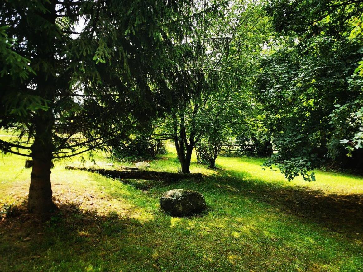 Landhaeuschen Welschneudorf Naturnah Zewnętrze zdjęcie